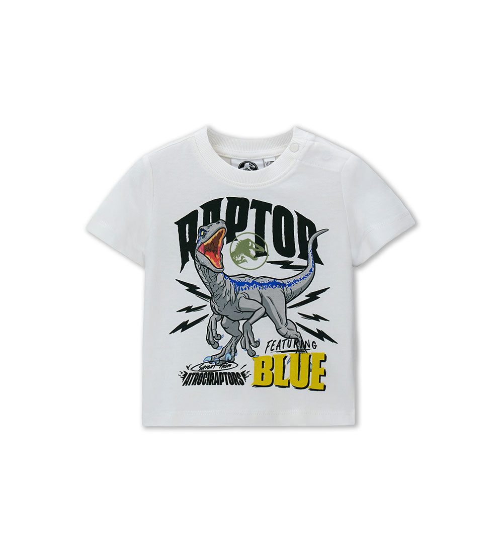 #Color_Off White